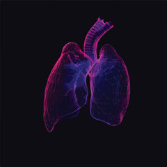 Low Poly Lung Wireframe on Dark Blue