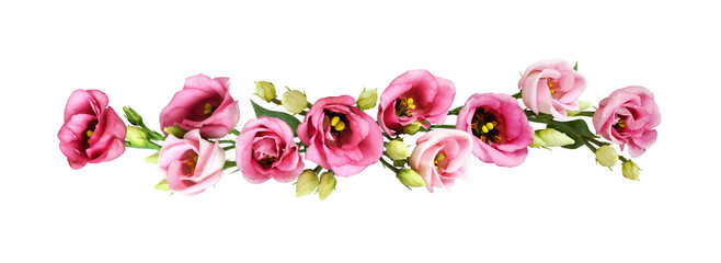 Pink eustoma flowers in a floral arrangement isolated on white or transparent background