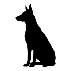 Vector  silhouette of a doberman pinscher sitting in a side profile view on transparent background