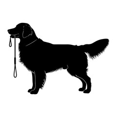 Vector  silhouette of a dog holding a leash in its mouth standing still on transparent background