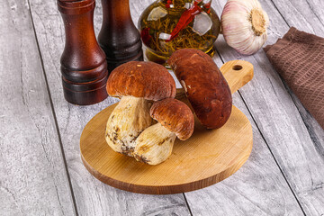 Raw natural wild porchini mushrooms
