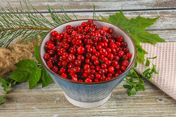 Natural organic wild forwst lingonberry