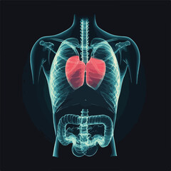 Human Body X-Ray Background Space