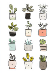Transparent. minimalistic vector illustration of various succulent plants arranged aesthetically