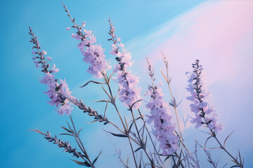 Sunlit lavender bouquet casts soft purple shadows on a blue background.