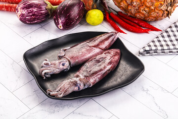 Raw fresh squid for cooking