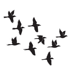 Obraz premium vector silhouettes of birds