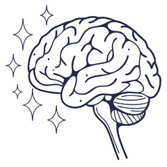 Stylized line drawing of a human brain with sparkling stars symbolizing creativity and ideas