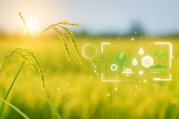 AI generated green rice panicle illuminated by soft sunlight with futuristic transparent interface representing smart agriculture data in a peaceful vibrant field