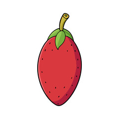 Creative Miracle Fruit Vector on White