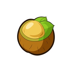 Creative Macadamia Fruit Vector Style on White