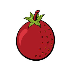 Creative Pomegranate Fruit Vector Style on White