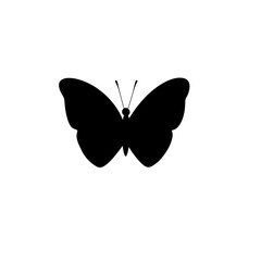 Black butterfly silhouette isolated on transparent background