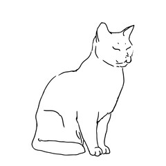Sitting cat, black and white ink sketch. Vector illustration. The silhouette is made in a simple linear style. The theme of animals, veterinary clinics, animal feed and for printing