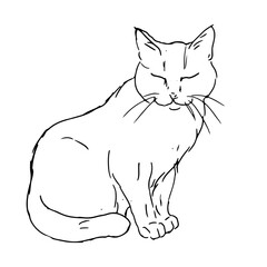 Sitting cat, black and white ink sketch. Vector illustration. The silhouette is made in a simple linear style. The theme of animals, veterinary clinics, animal feed and for printing