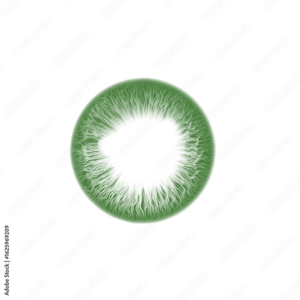 Poster closeup macro view of a green iris with detailed texture, isolated on a transparent background