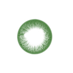 Closeup macro view of a green iris with detailed texture, isolated on a transparent background