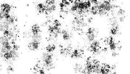 Fototapeta premium Abstract black and white ink splatter texture isolated on transparent background
