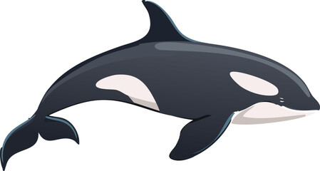 Fototapeta premium A cartoon illustration of a killer whale swimming gracefully against a white background.