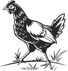 Monochrome Vector Illustration of a Walking Chicken in a Grassy Field Providing a Rustic Farm Animal Aesthetic