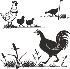 Silhouette Chickens Roaming Freely in Nature's Embrace A Heartwarming Rural Scene of a Rooster Hen and Chicks
