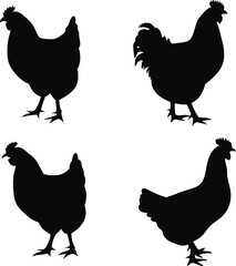 Elegant Chicken Silhouettes Displayed in a Quad Arrangement Farm Animal Imagery Black and White Poultry
