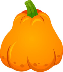 Large, ripe orange pumpkin with a green stem, possibly a cinderella pumpkin or a fairytale pumpkin, isolated on a white background, creates a vibrant and festive autumnal image