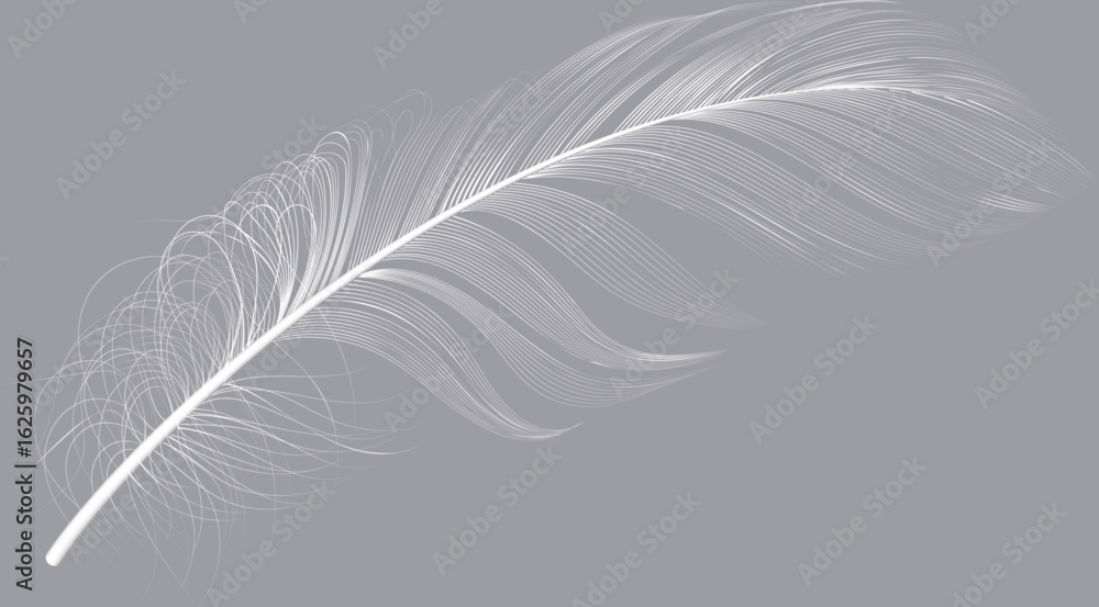 Poster single white feather floating on a gray background, creating a delicate and elegant composition, ide