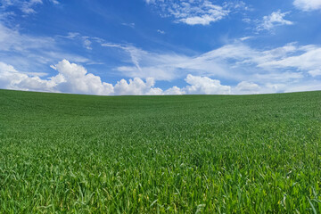 Footage of farmland and cloudy blue sky.