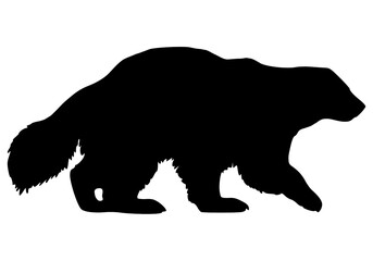 Vector Silhouette Of A Wolverine.