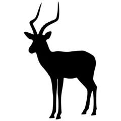Ingelijste posters Vector Silhouette Of A Impala. © techno