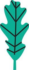 Green oak leaf standing upright, showing its dark veins and lobes, isolated on a white background, in a simple, flat, minimalist, modern style