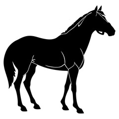 Black horse silhouette vector illustration of a running stallion with flowing mane in artistic style