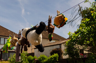 Belfast Co. Down Northern Ireland May 15 2025 - Variety of dogs toys hanging on a washing line to...