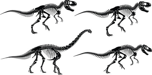 Cad Drawing Vector Illustration, Dinosaur Skeleton Silhouettes, Tyrannosaurus and Sauropod Species, Educational Prehistoric Pack, Fossil Graphic Icons
