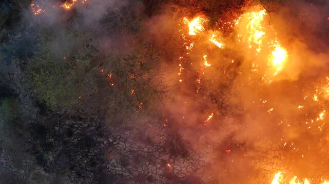 Fire with huge amount of smoke burning on a land beside a river