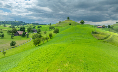 Pretty Drumlin hills with tree on top before a summer storm around Zug, Switzerland
