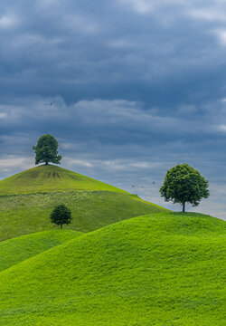 Pretty Drumlin hills with tree on top before a summer storm around Zug, Switzerland
