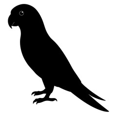 Black Parrot Silhouette