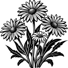  Hand-Drawn Daisy Flower Illustration in Black and White