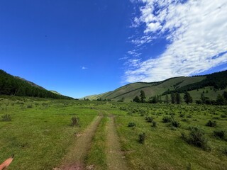 Grazing livestock and nomadic yurts on Mongolian steppe near Ulaanbaatar, captured during a horse...