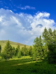 Grazing livestock and nomadic yurts on Mongolian steppe near Ulaanbaatar, captured during a horse...