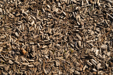 Fl&auml;che mit Holzhackschnitzel, Hintergrund