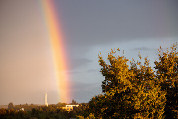 Bright Rainbow in the Evening Sky over Trees