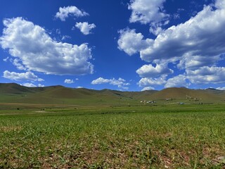 Grazing livestock and nomadic yurts on Mongolian steppe near Ulaanbaatar, captured during a horse...