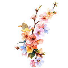 branch of cherry blossom