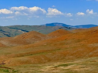 Grazing livestock and nomadic yurts on Mongolian steppe near Ulaanbaatar, captured during a horse...