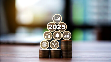 Investment Strategies for Sustainable Growth in 2025 Business Environment Informative Content Strategic Viewpoint