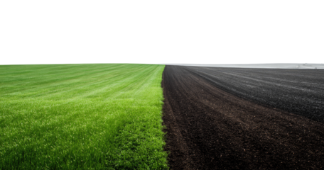 Wide shot of green grass field and dark furrowed plowed land