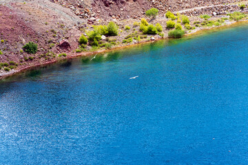 Birds Flying Over Shoreline of Triadas Lake Evia